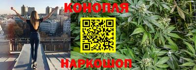 ГАЛЛЮЦИНОГЕННЫЕ ГРИБЫ Кулебаки