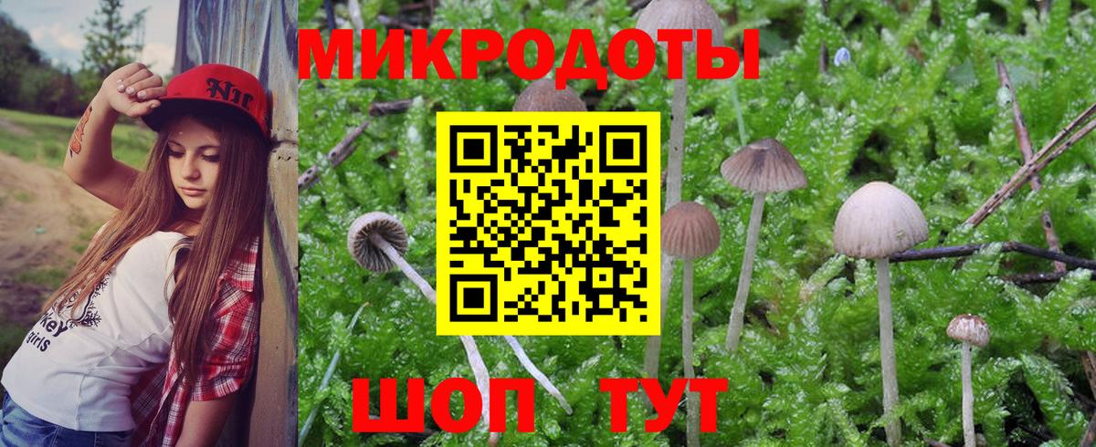 Галлюциногенные грибы MAGIC MUSHROOMS Калуга