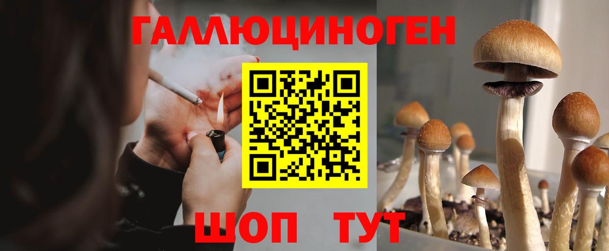 Галлюциногенные грибы мицелий  Вход с VPN  Калуга 